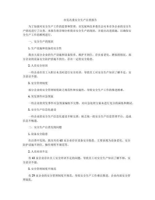 市发改委安全生产自查报告