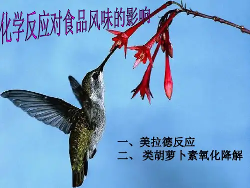 化学反应对食品风味的影响 PPT课件