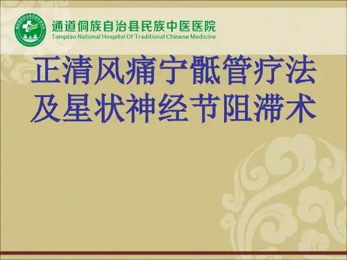 正清风痛宁骶管疗法及星状神经节阻滞术
