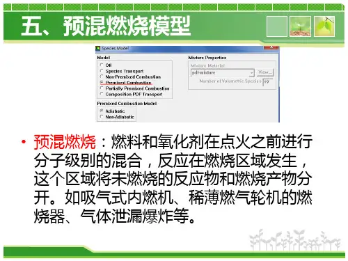 第五章 fluent预混燃烧模型