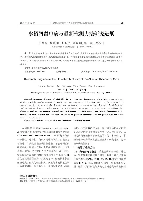 水貂阿留申病毒最新检测方法研究进展