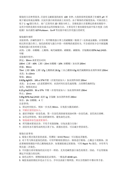 银染方法总结