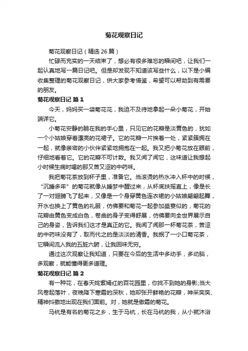 菊花观察日记（精选26篇）