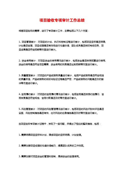 项目验收专项审计工作总结