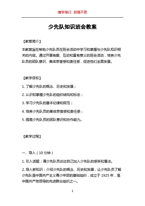 少先队知识班会教案