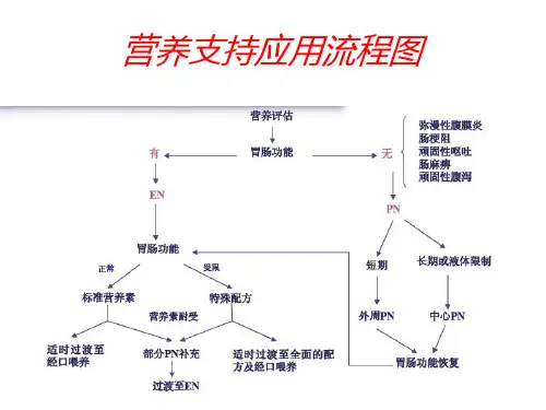 全胃肠外营养与3L袋配置_PPT幻灯片
