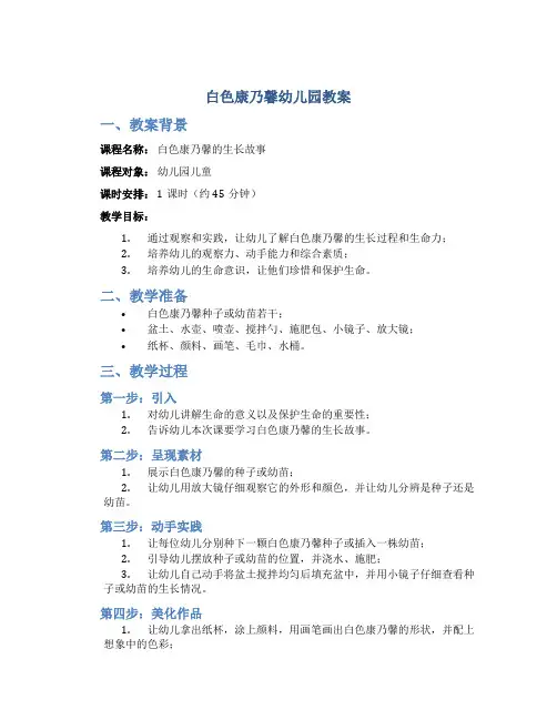 白色康乃馨幼儿园教案