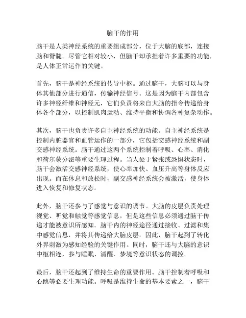 脑干的作用