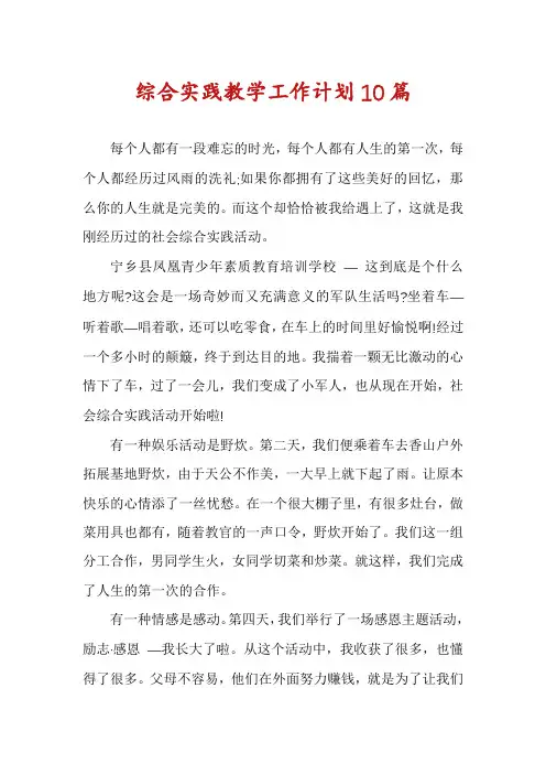 综合实践教学工作计划10篇