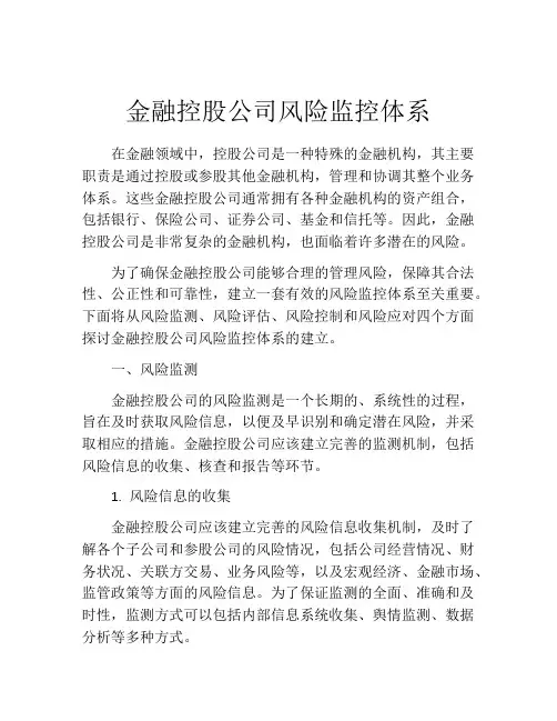 金融控股公司风险监控体系