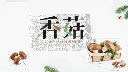 山珍山货农产品美食厨房厨艺PPT模板