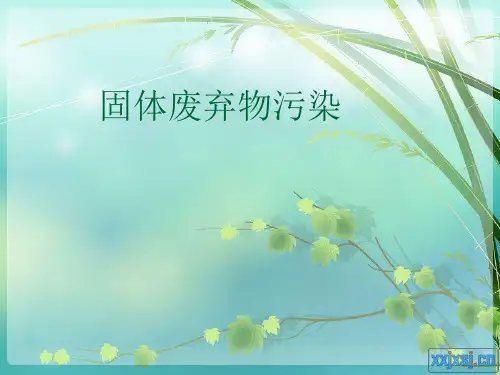 固体废弃物污染 PPT课件