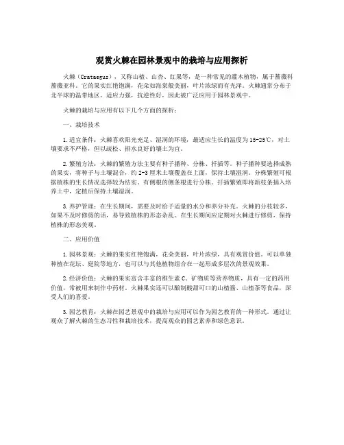 观赏火棘在园林景观中的栽培与应用探析