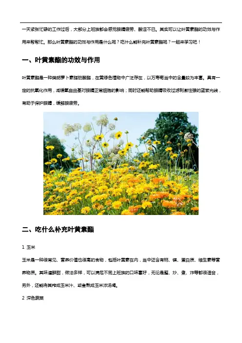 叶黄素酯的功效与作用是什么,吃什么能补充,一起来学习吧!