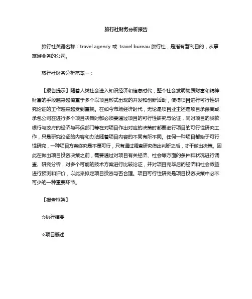 旅行社财务分析报告