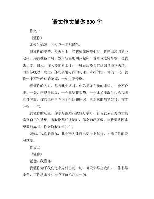 语文作文懂你600字