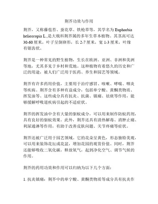 荆芥功效与作用