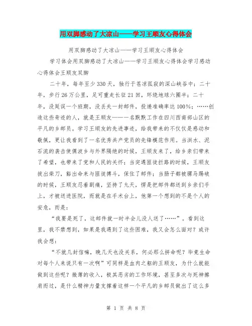 用双脚感动了大凉山——学习王顺友心得体会