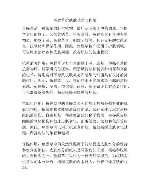 鱼腥草护肤的功效与作用