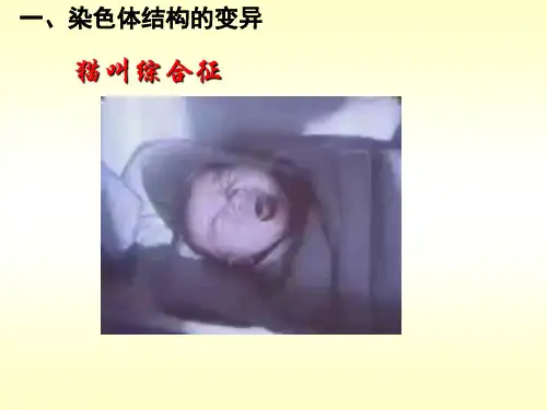 用秋水仙素处理
