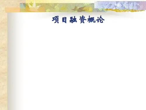 融资概论1