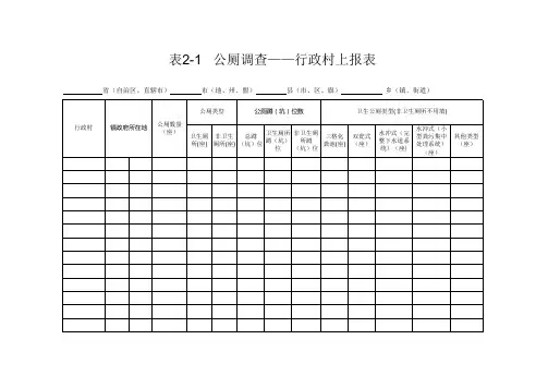 表2-1公厕调查——行政村上报表