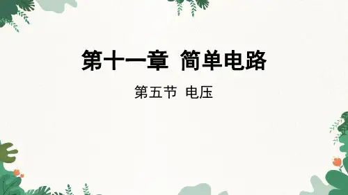 北师大版物理九年级上册第11章第五节电压课件