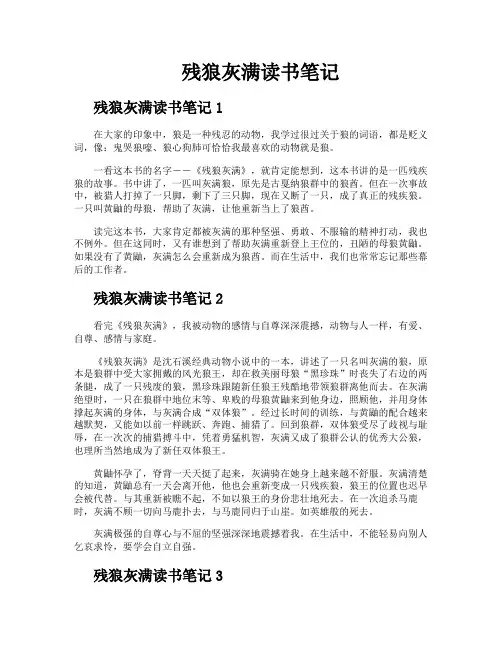 残狼灰满读书笔记