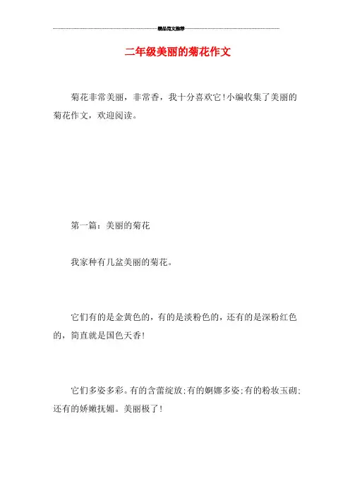 二年级美丽的菊花作文