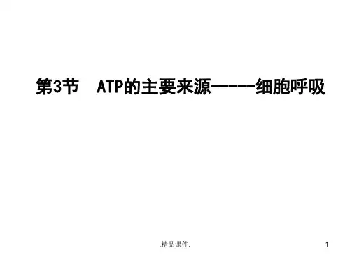 一轮复习 ATP的主要来源——细胞呼吸培训课件.ppt