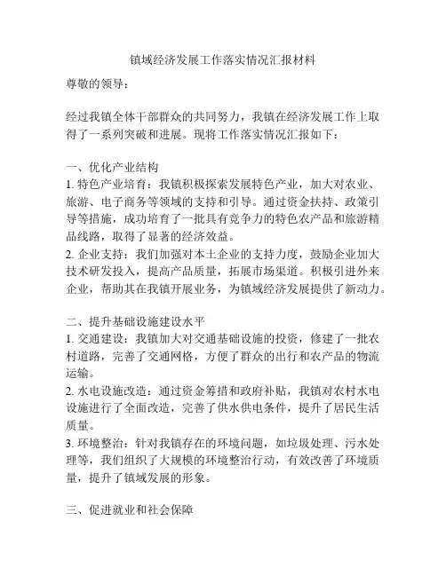 镇域经济发展工作落实情况汇报材料