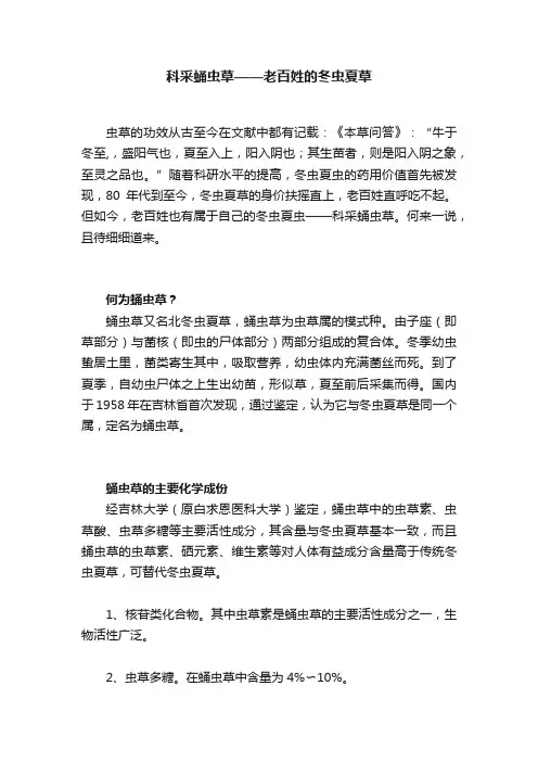 科采蛹虫草——老百姓的冬虫夏草