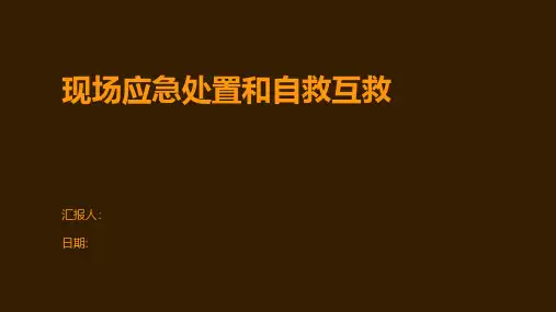 现场应急处置和自救互救