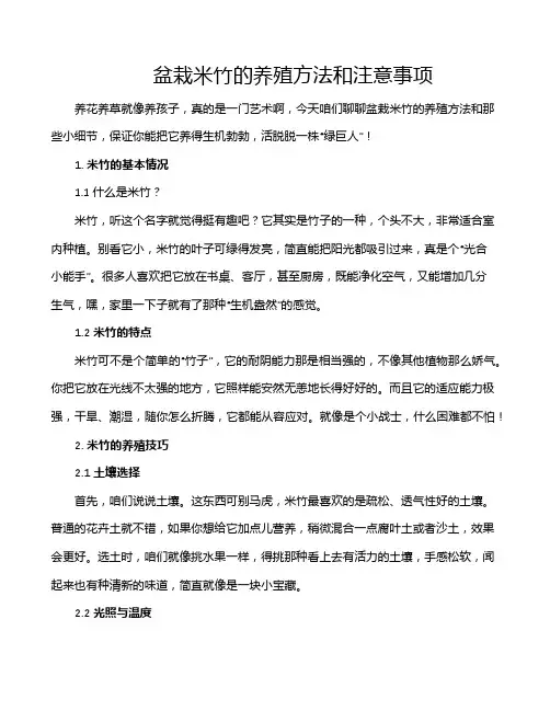 盆栽米竹的养殖方法和注意事项