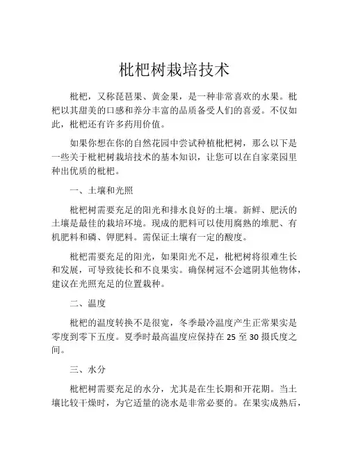 枇杷树栽培技术
