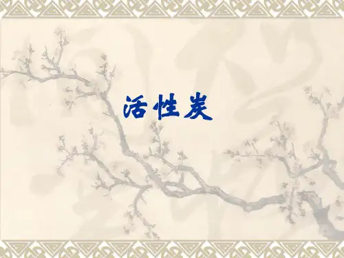 活性炭工艺精选 课件