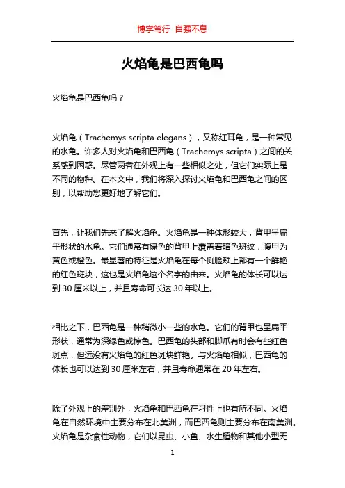 火焰龟是巴西龟吗