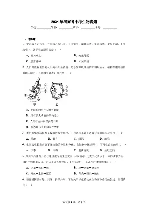 【中考真题】2024年河南省中考生物试卷(附答案)