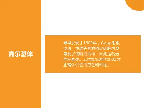 医学细胞生物学细胞质和细胞器第五讲-赵崴