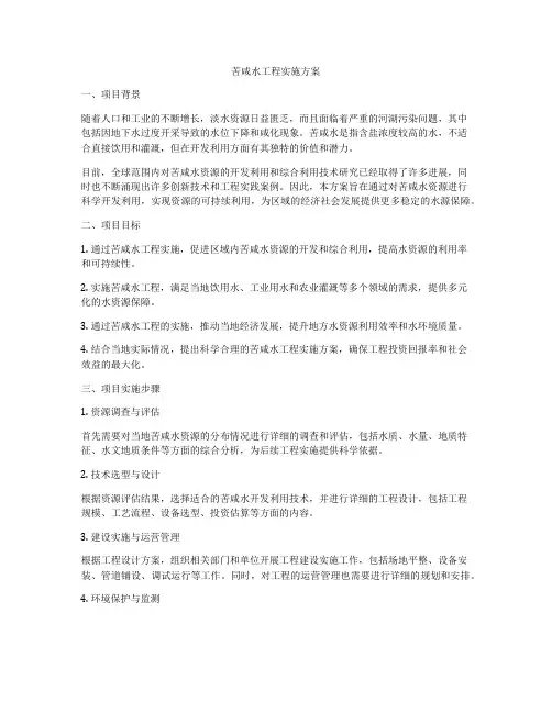 苦咸水工程实施方案