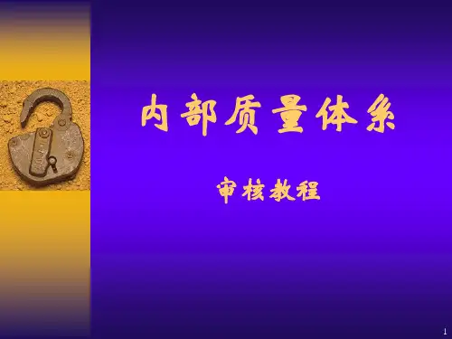 内审教程