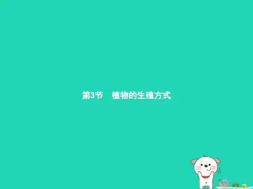 1植物的生殖方式课件(北师大版)