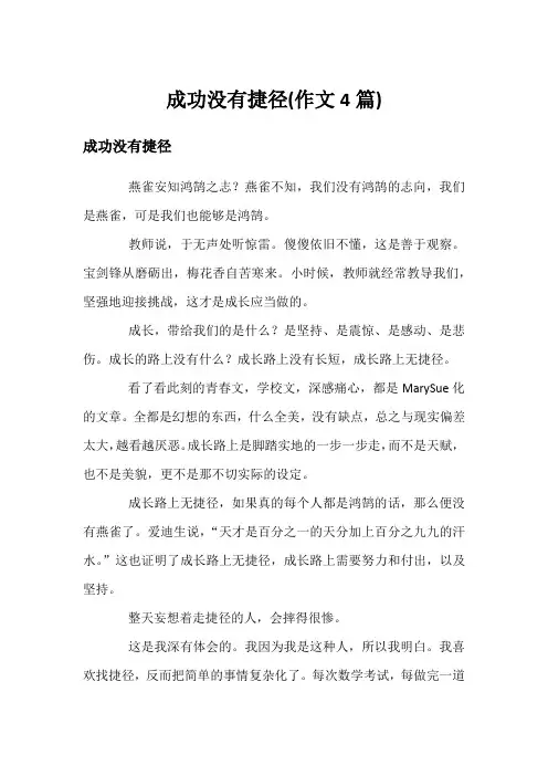 成功没有捷径(作文4篇)