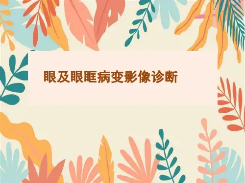 眼及眼眶病变影像诊断