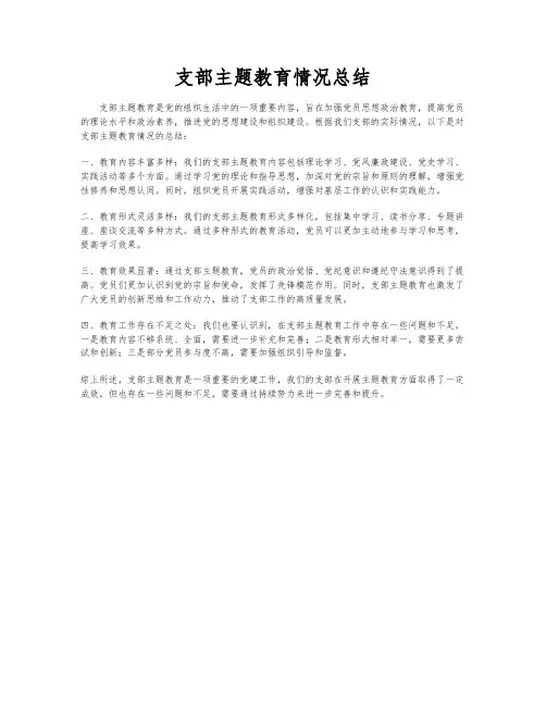 支部主题教育情况总结