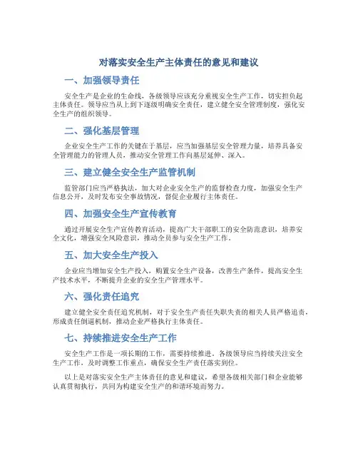 对落实安全生产主体责任的意见和建议