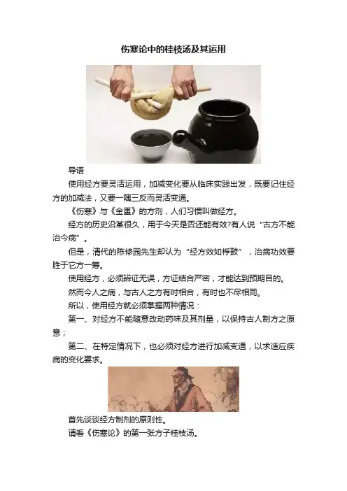 伤寒论中的桂枝汤及其运用