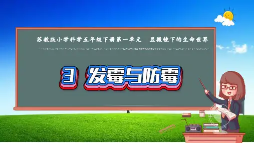 (2022年)-苏教版五年级科学下册《发霉与防霉》PPT课件精选全文