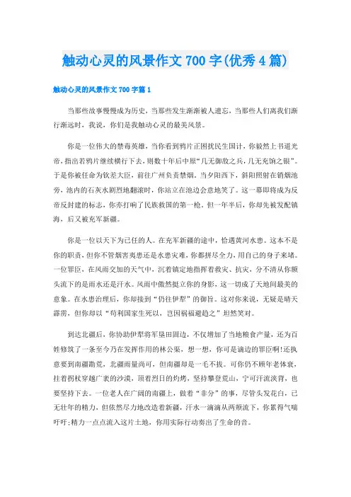 触动心灵的风景作文700字(优秀4篇)