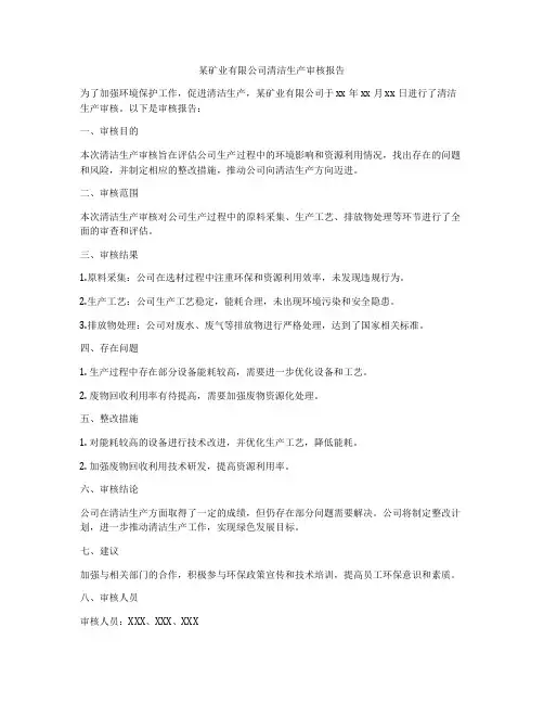 某矿业有限公司清洁生产审核报告